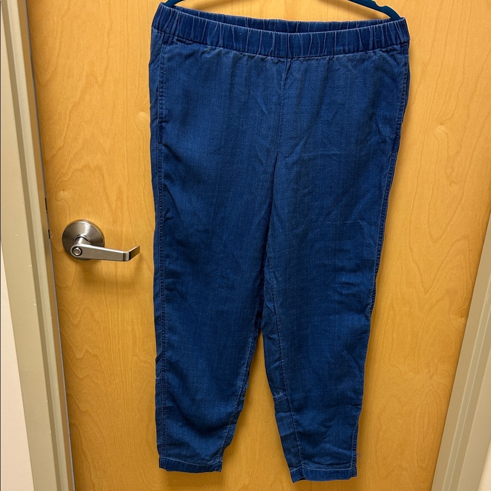 Pure Jill Indigo Blue Pants